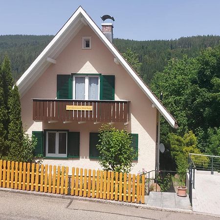 Ferienhaus Barbey St. Blasien Bagian luar foto