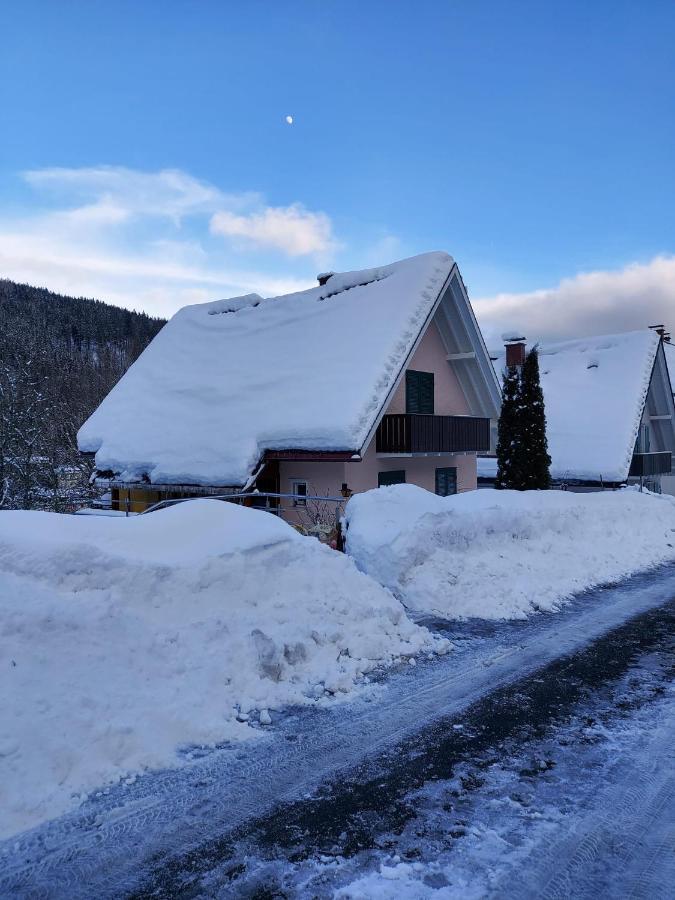 Ferienhaus Barbey St. Blasien Bagian luar foto