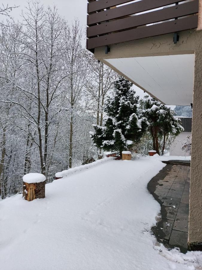 Ferienhaus Barbey St. Blasien Bagian luar foto
