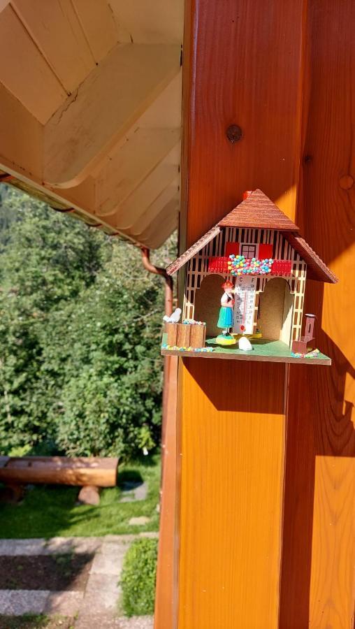 Ferienhaus Barbey St. Blasien Bagian luar foto