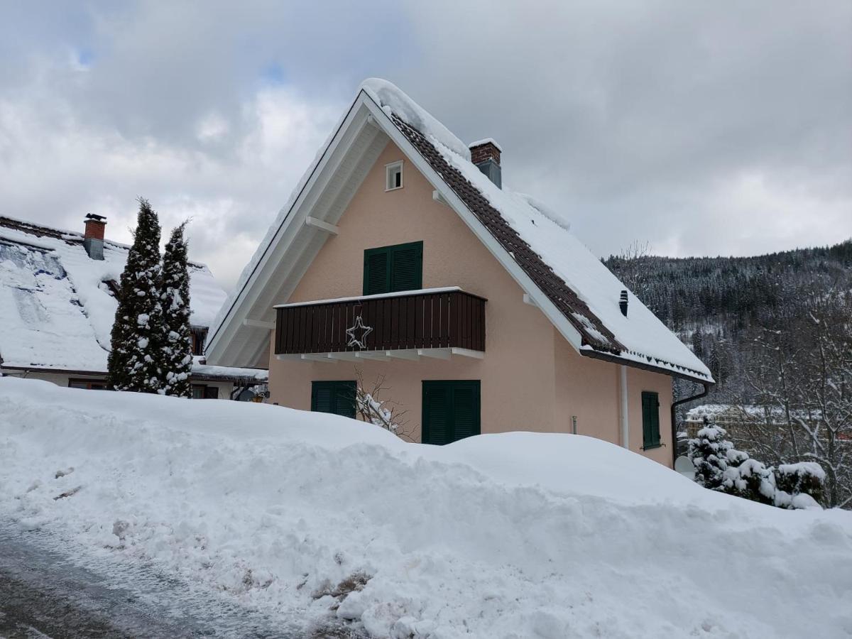 Ferienhaus Barbey St. Blasien Bagian luar foto