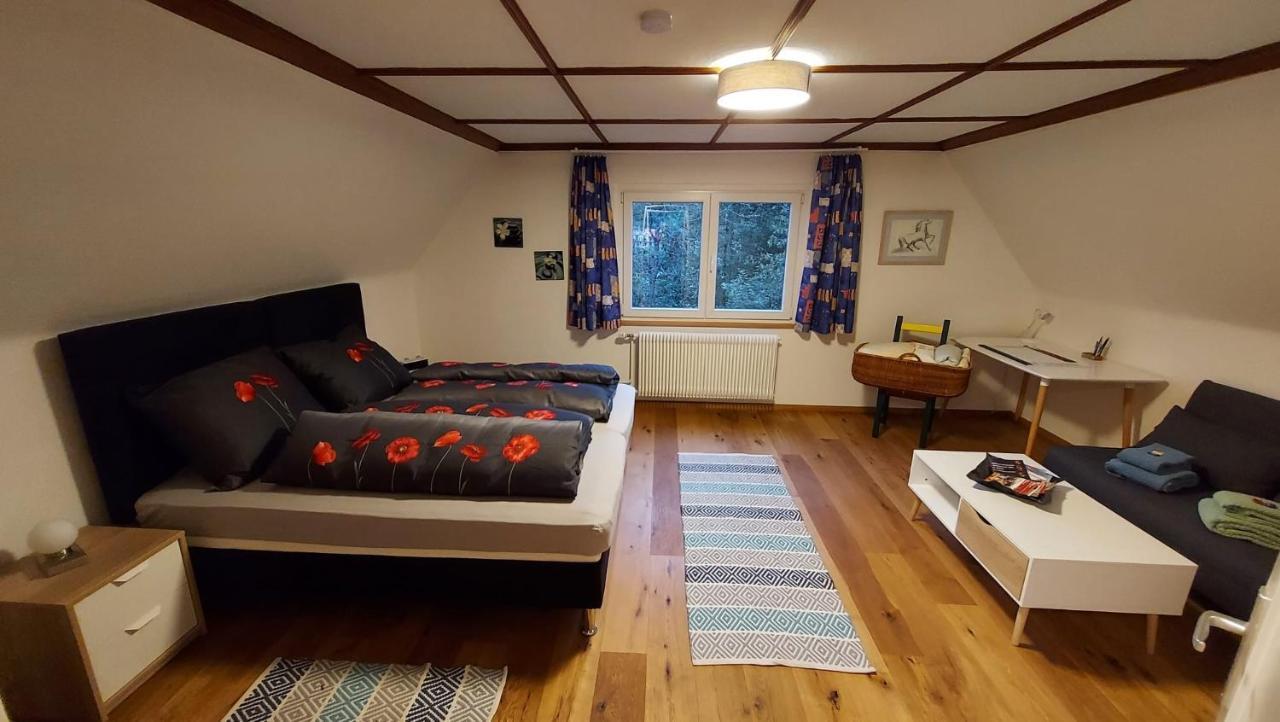 Ferienhaus Barbey St. Blasien Bagian luar foto