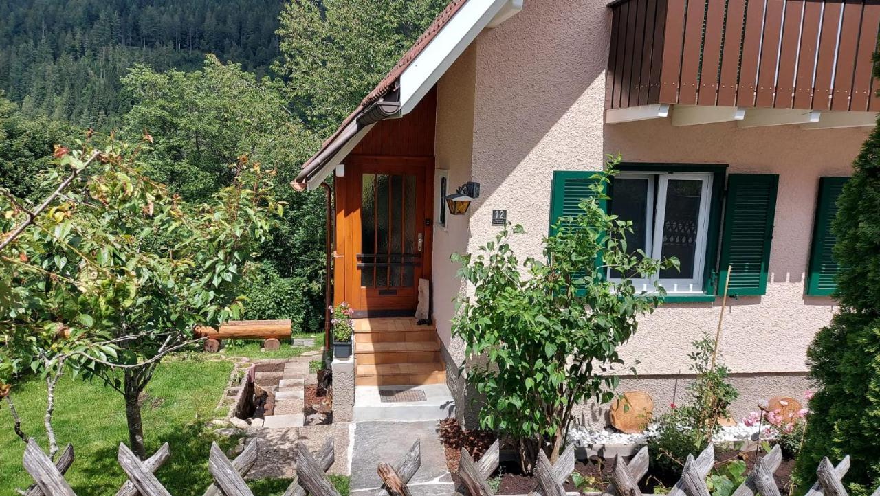 Ferienhaus Barbey St. Blasien Bagian luar foto