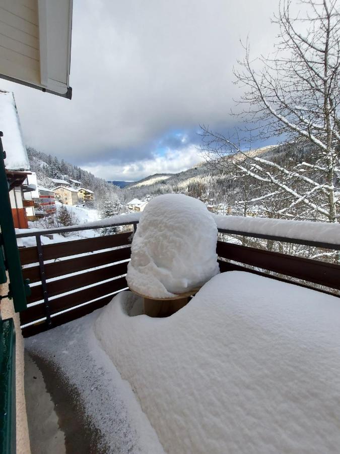 Ferienhaus Barbey St. Blasien Bagian luar foto