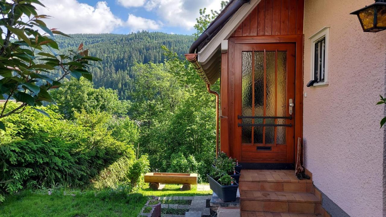 Ferienhaus Barbey St. Blasien Bagian luar foto